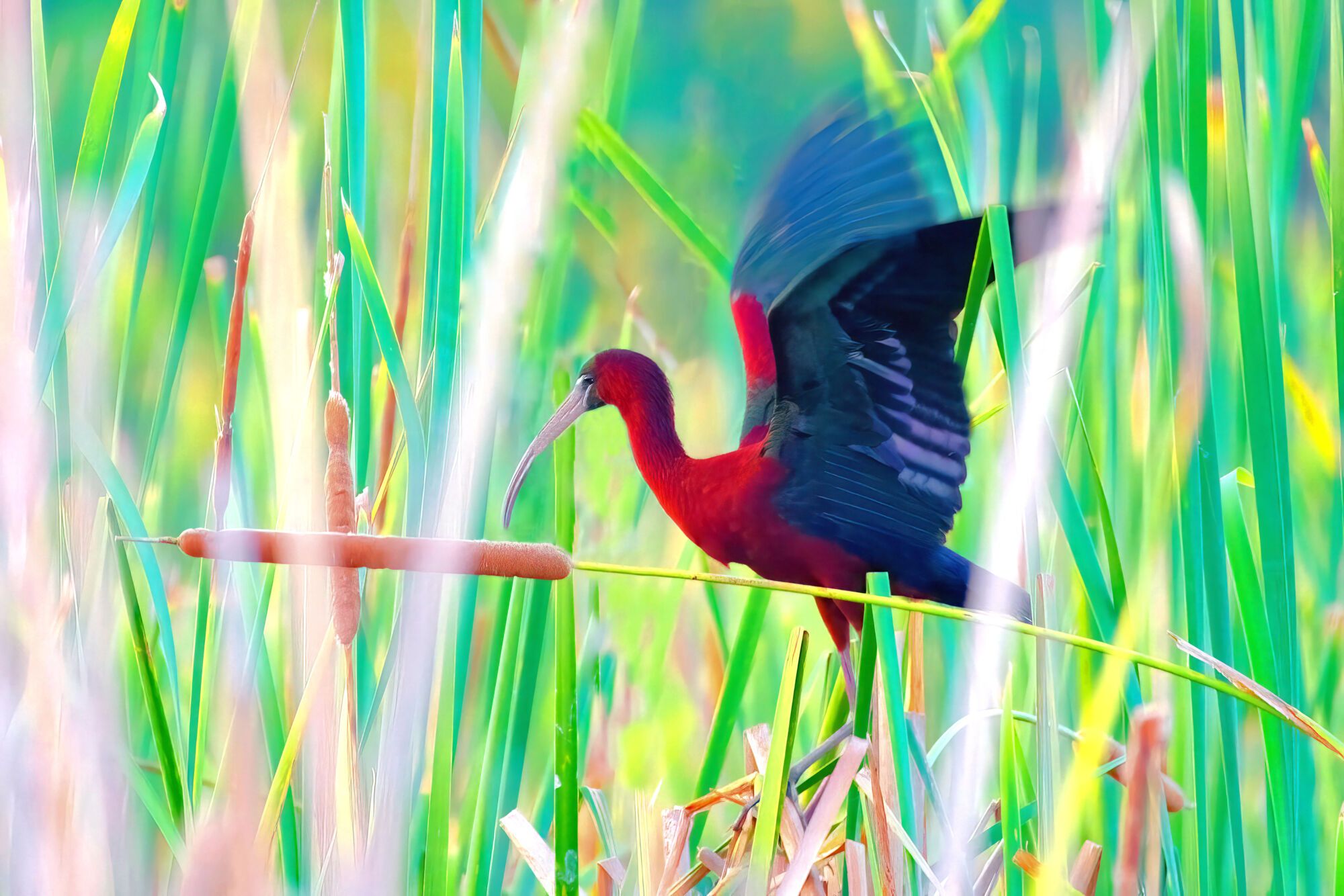 Nearby nature preserves