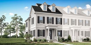 Anastasia - Celebration - Island Village: Celebration, Florida - Mattamy Homes