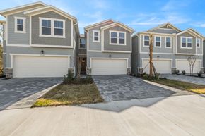 Twin Creeks at Chapel Crossings - Wesley Chapel, FL
