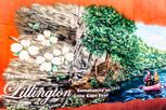 Seagrass Landing - Lillington, NC