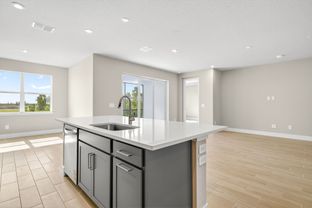 Oceangrove II - Lakespur at Wellen Park: Venice, Florida - Mattamy Homes