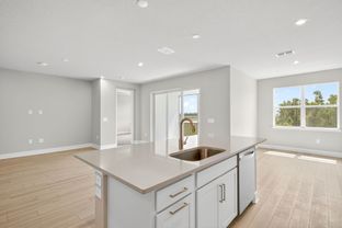 Oceangrove II - Lakespur at Wellen Park: Venice, Florida - Mattamy Homes