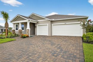 Mesa Verde - Windwater: Parrish, Florida - Mattamy Homes