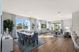 Pinnacle - Rainwood: Groveland, Florida - Mattamy Homes