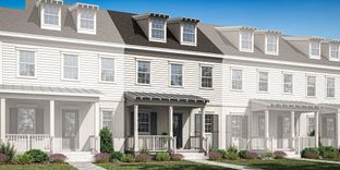 Aleutian - Celebration - Island Village: Celebration, Florida - Mattamy Homes