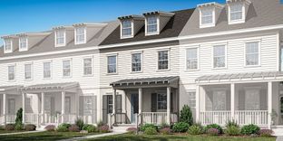Amelia - Celebration - Island Village: Celebration, Florida - Mattamy Homes