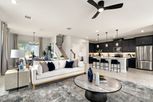 Rainwood - Groveland, FL