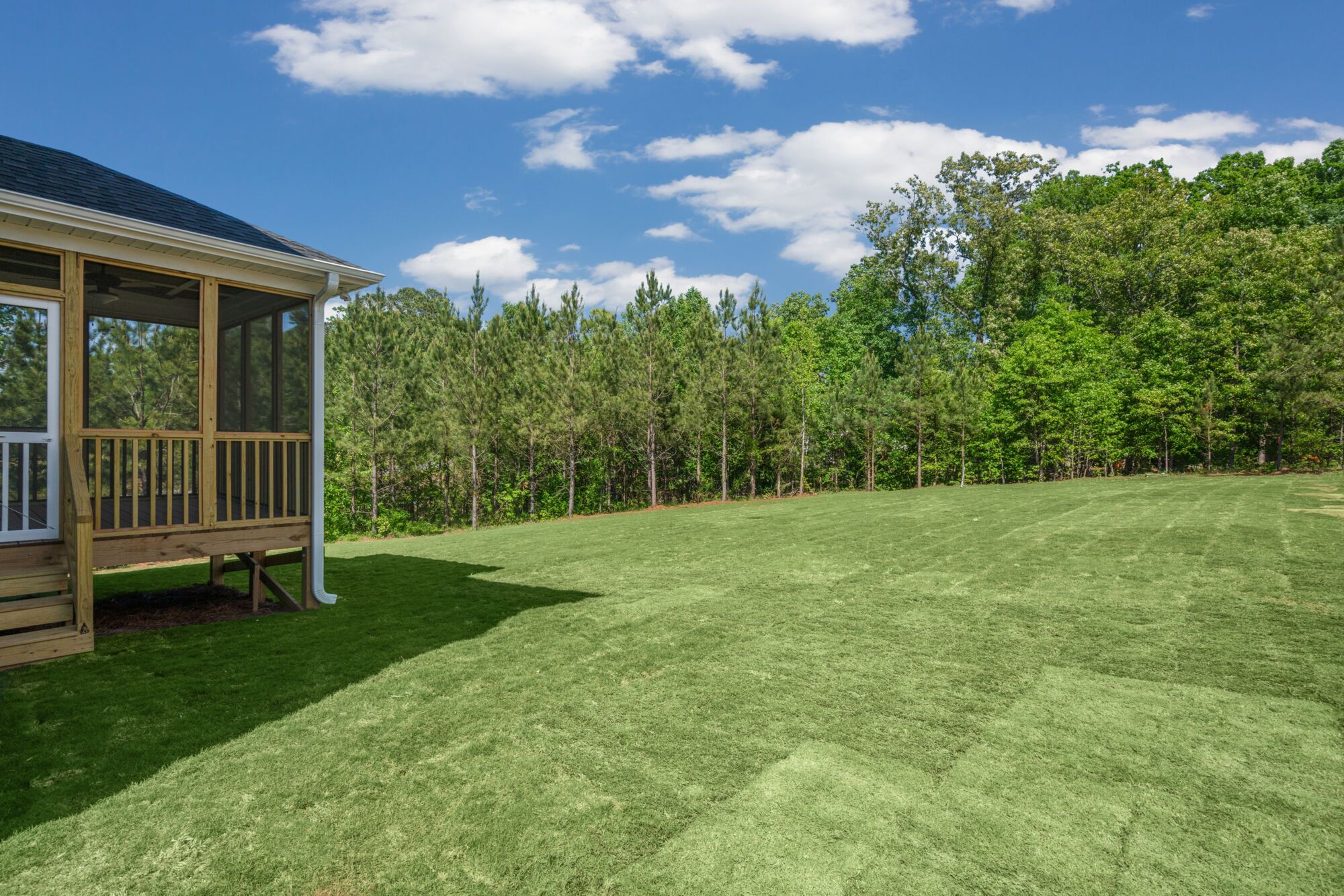 Screen porch & rear yard