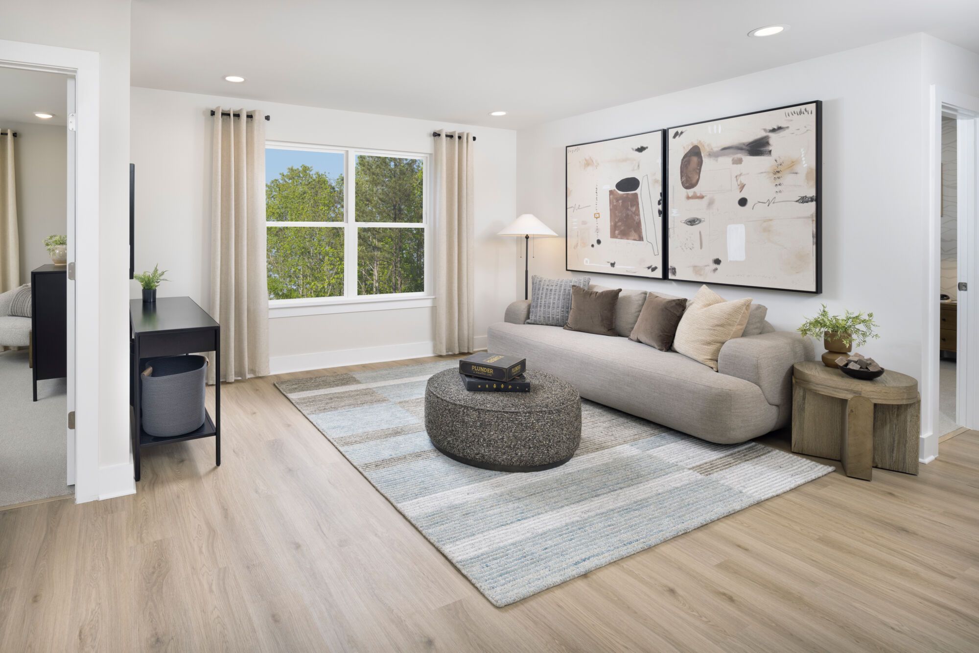 Shenandoah Model Home - Loft