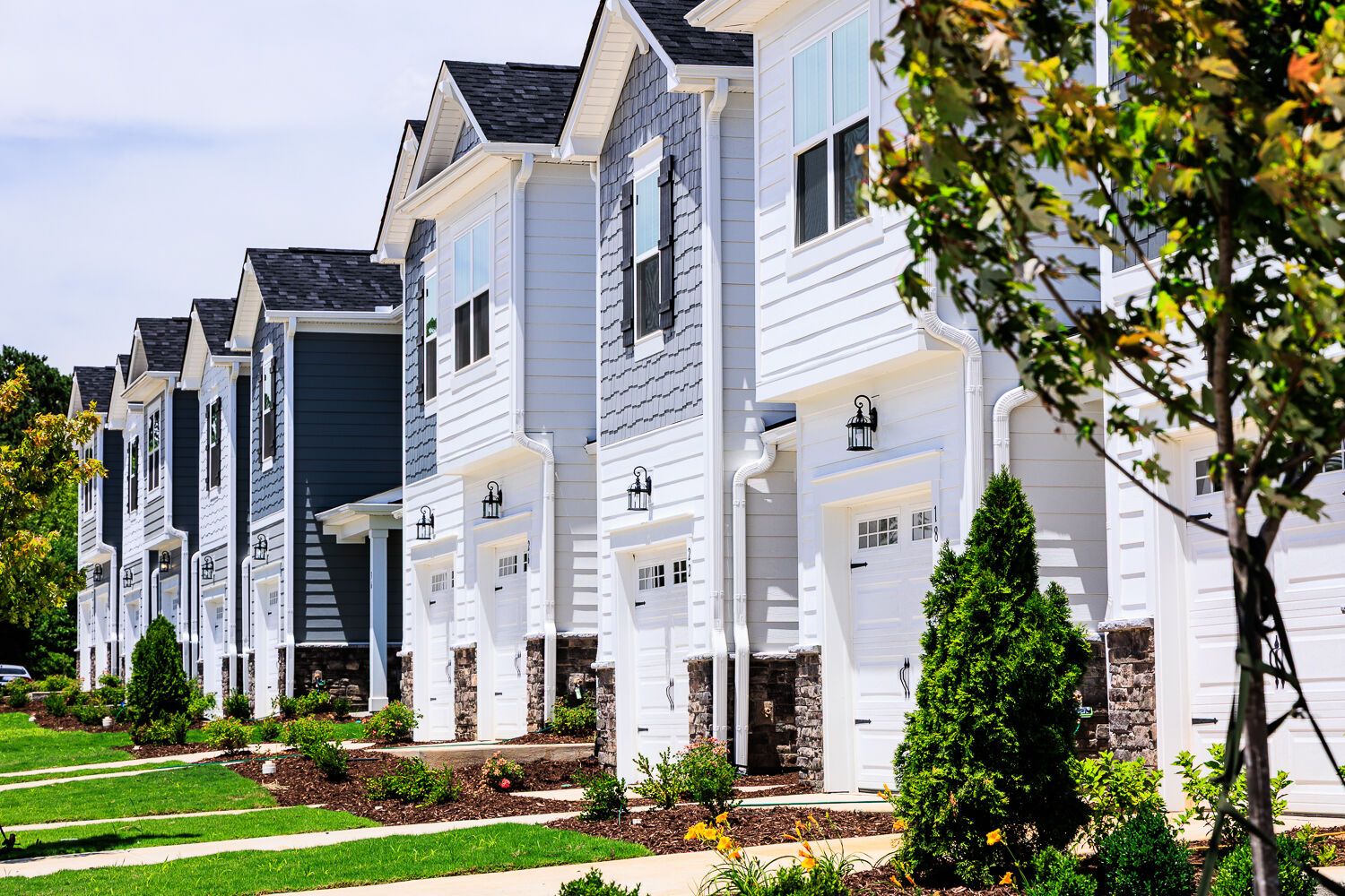 Aurora - Vaughan Farms: Angier, North Carolina - Mattamy Homes