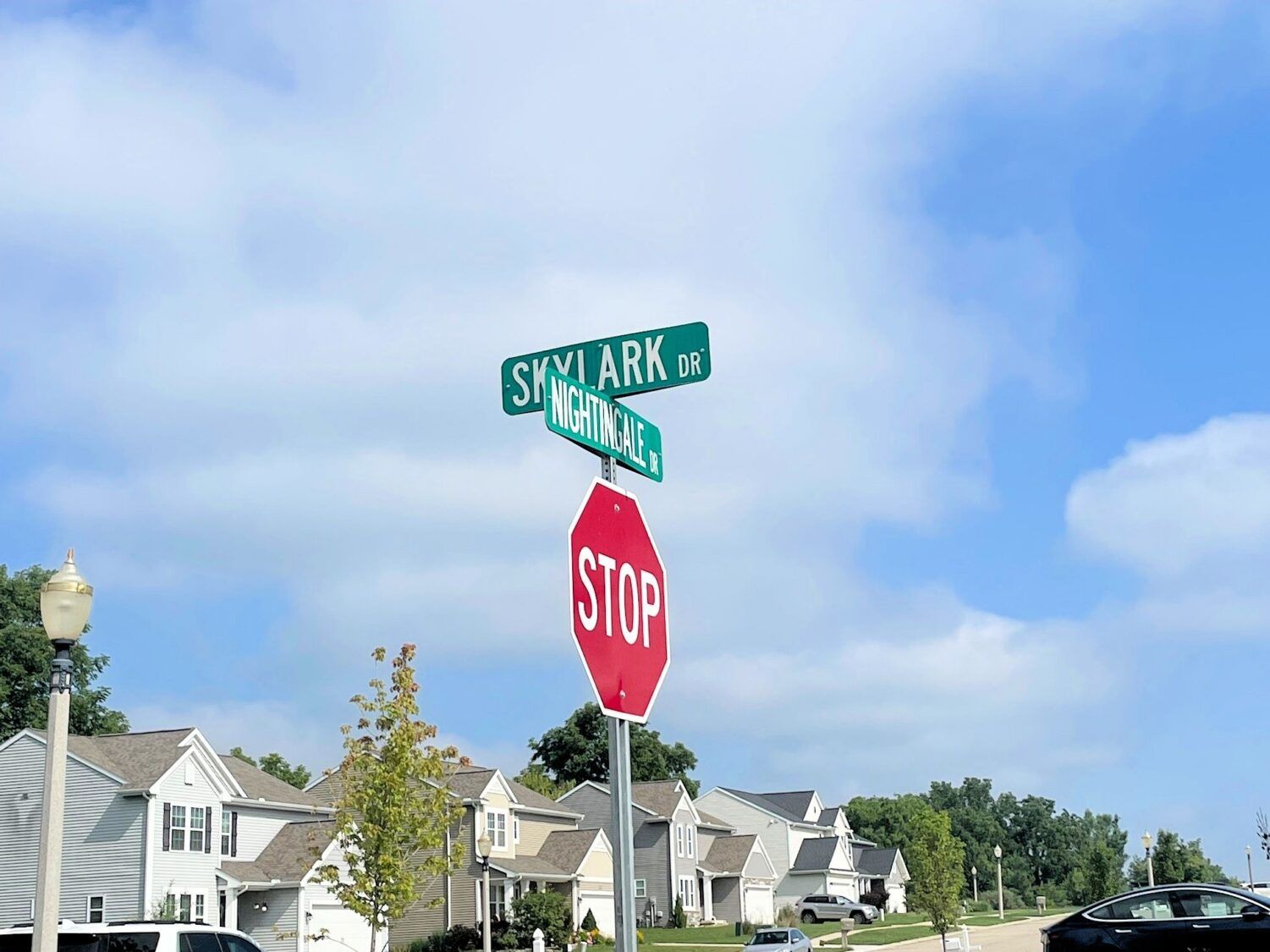 Community Image