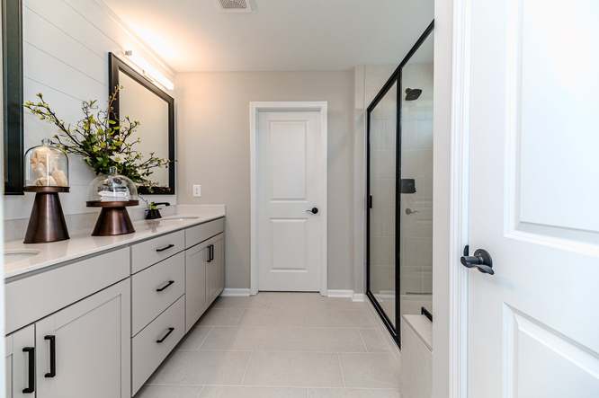 Watauga Primary Bath