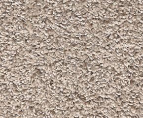 Carpet: Mohawk Raise The Bar Harmonious