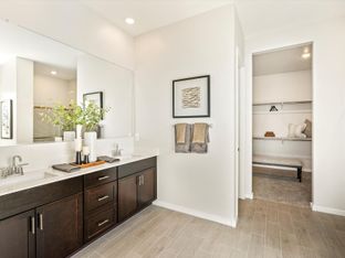 Lennon - Paloma Creek - Signature Series: Surprise, Arizona - Meritage Homes