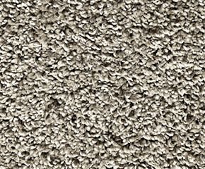 Carpet: Mohawk RaiseTheBar Cumulus