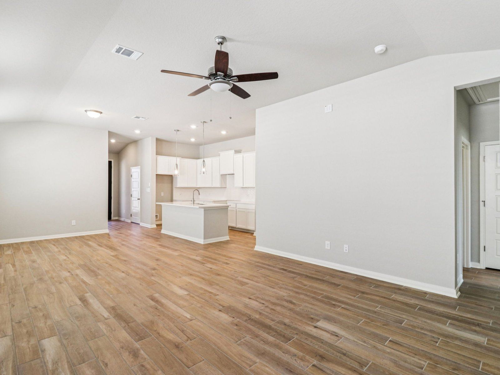 Living Room and Kitchen