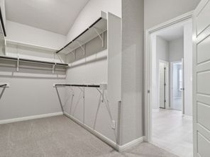 29415 Arrowtooth Blvd (The Holly (4004))