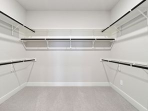 6343 Comanche Coyote (Sabine (3008))