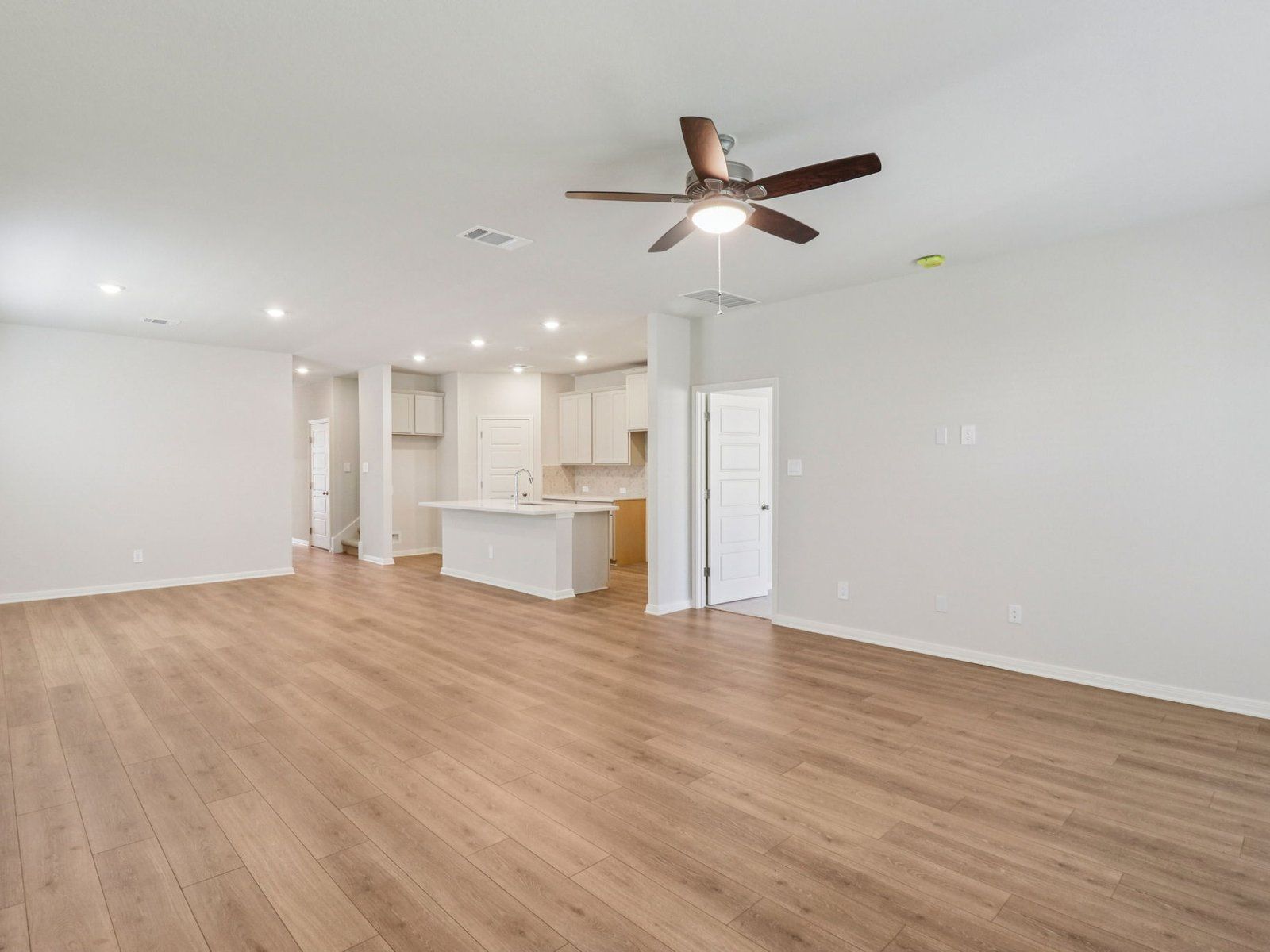 Living and Kitchen