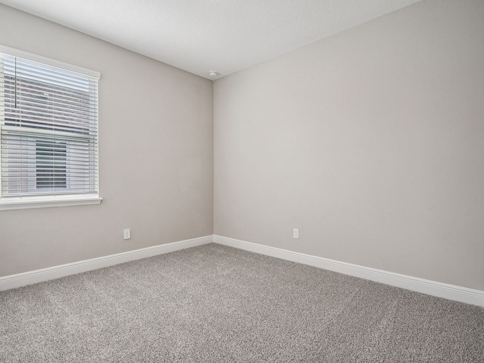 1212 Pampus Drive (Corsica)