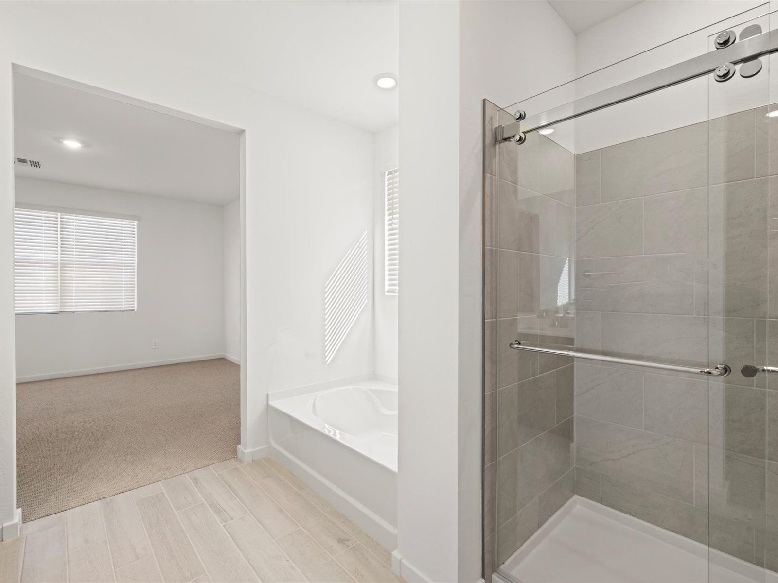Primary Shower
