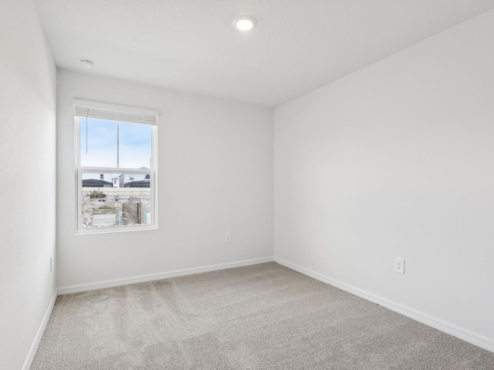 16305 Bird of Paradise (Calistoga I)