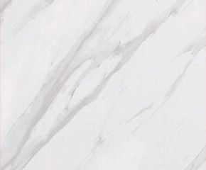 Tile: Florentine Carrara