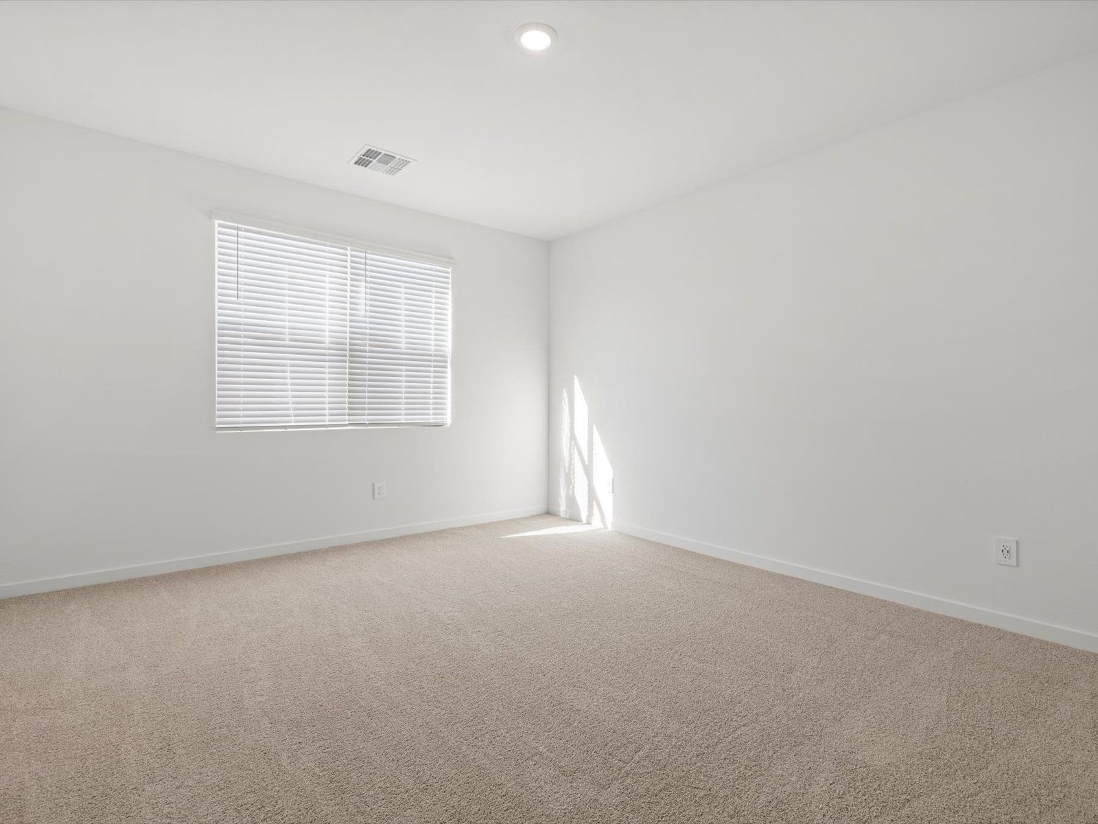 19379 N Barano Drive (Jubilee)