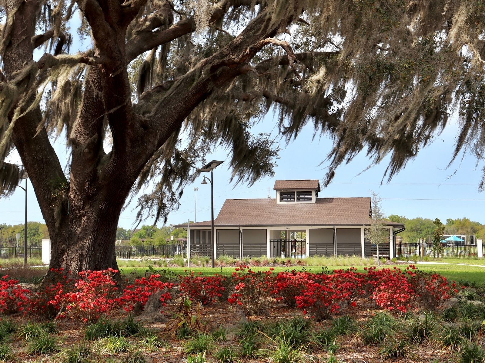 Residents will have access to 2 amenity centers. The Hammock Oaks amenity center is now open. The Reserve at Hammock Oaks amenity center is coming soon.