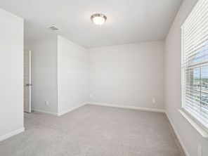 4534 Badger Crest (The Medina (3011))