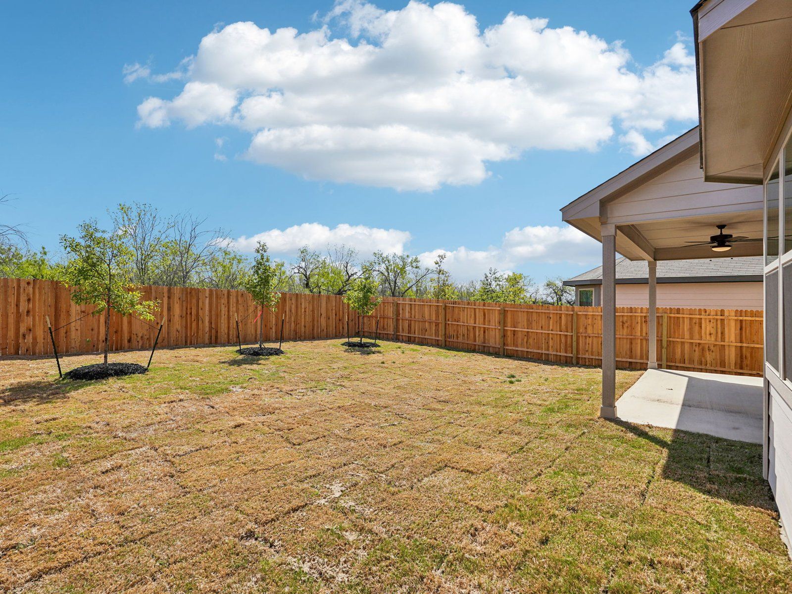 Backyard