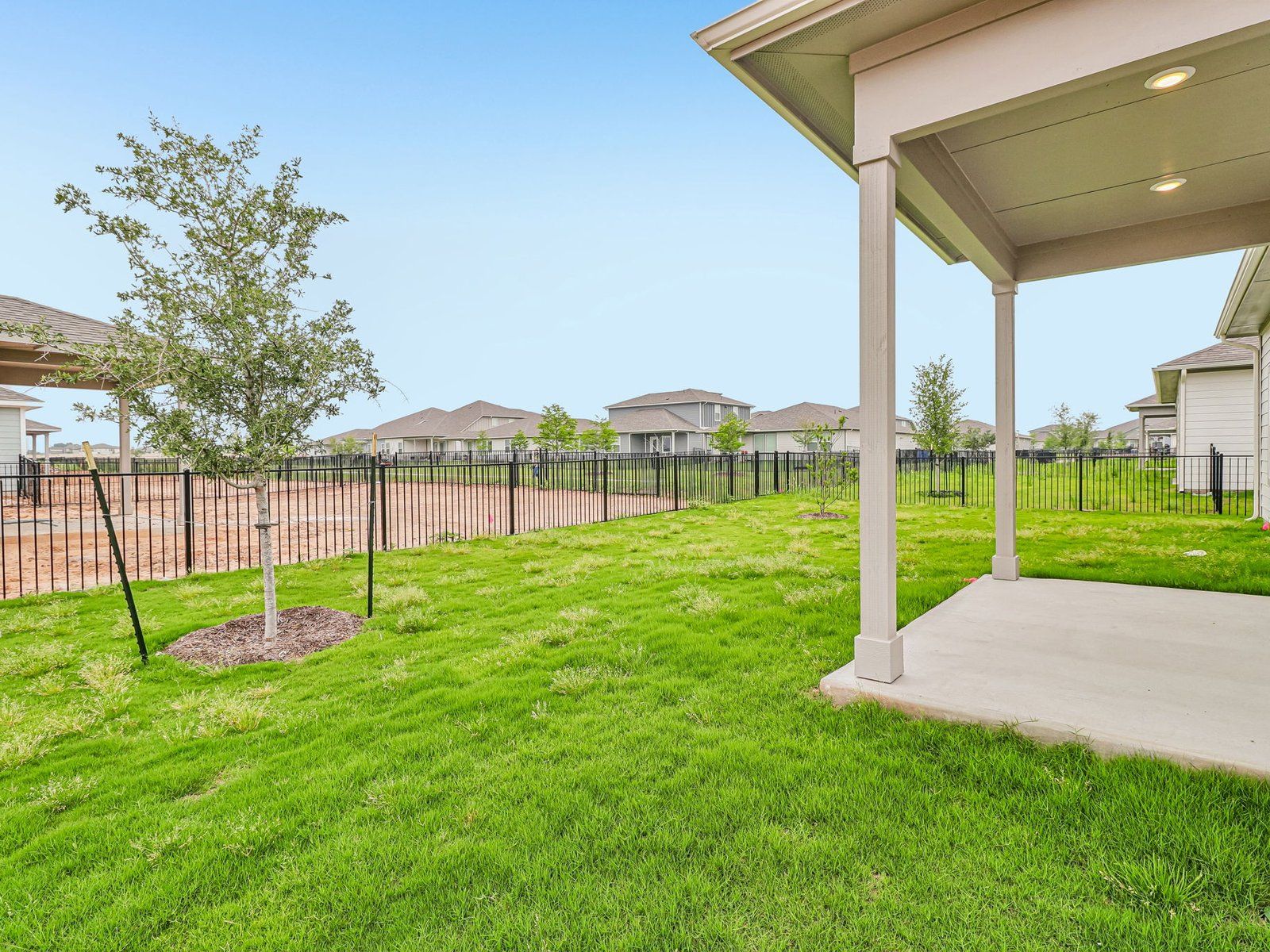 Backyard