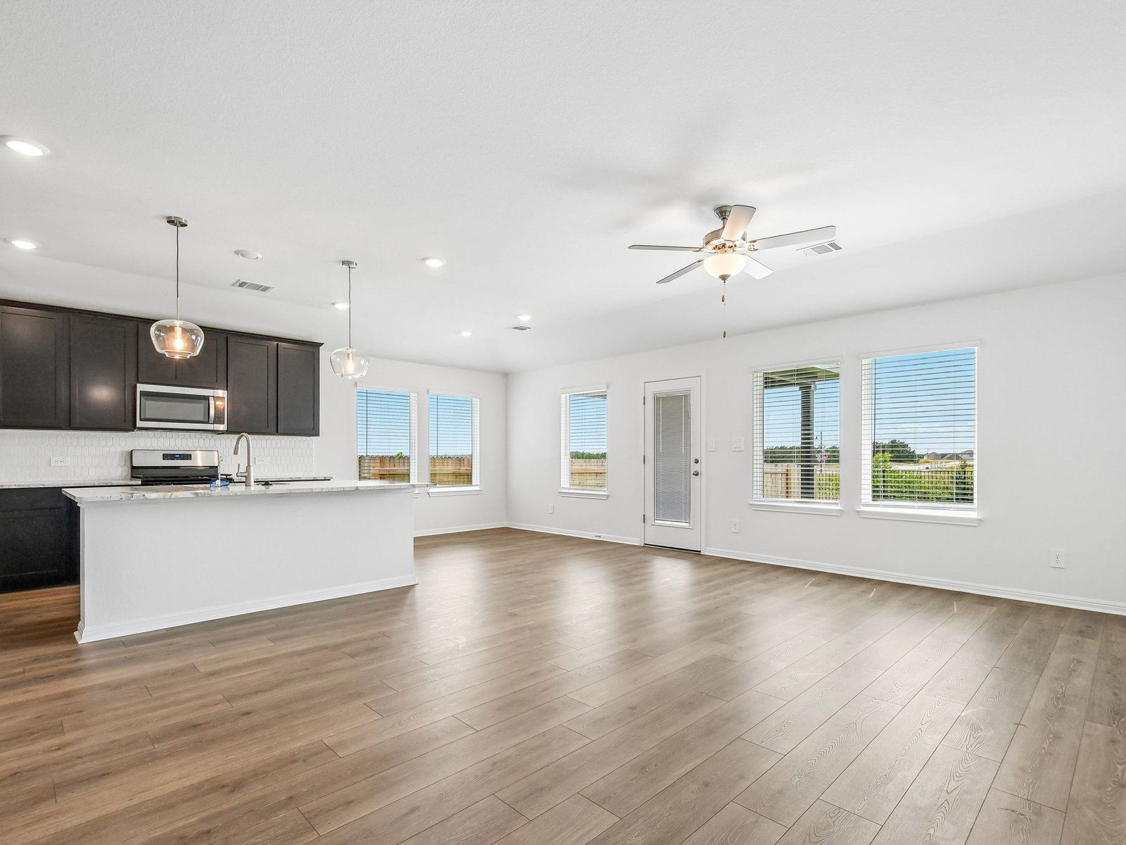 Kitchen, Living, and Dining Areas
