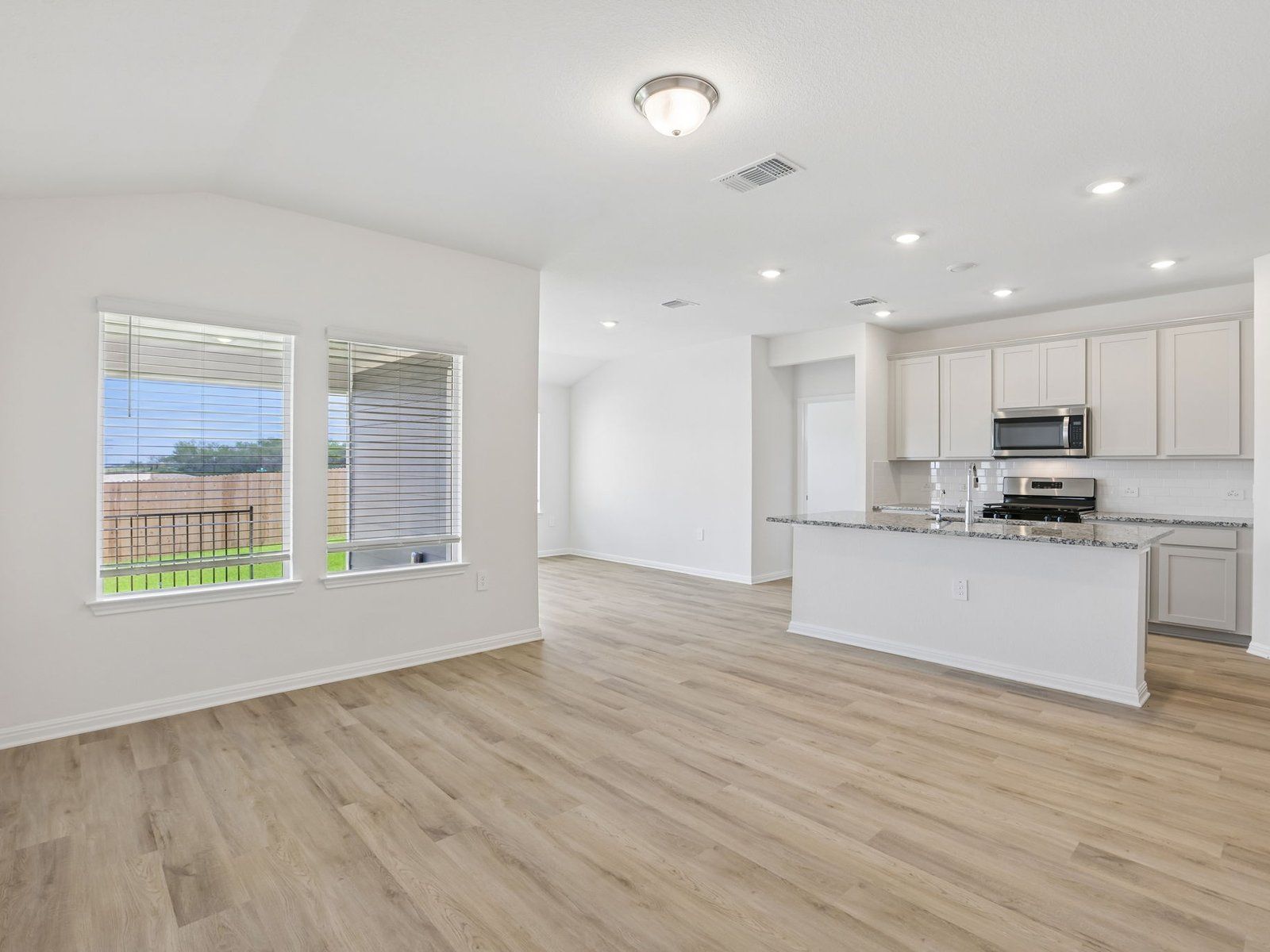 Kitchen, Living, and Dining Areas