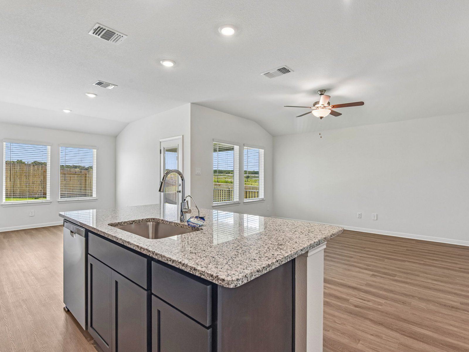 Kitchen, Living, and Dining Areas