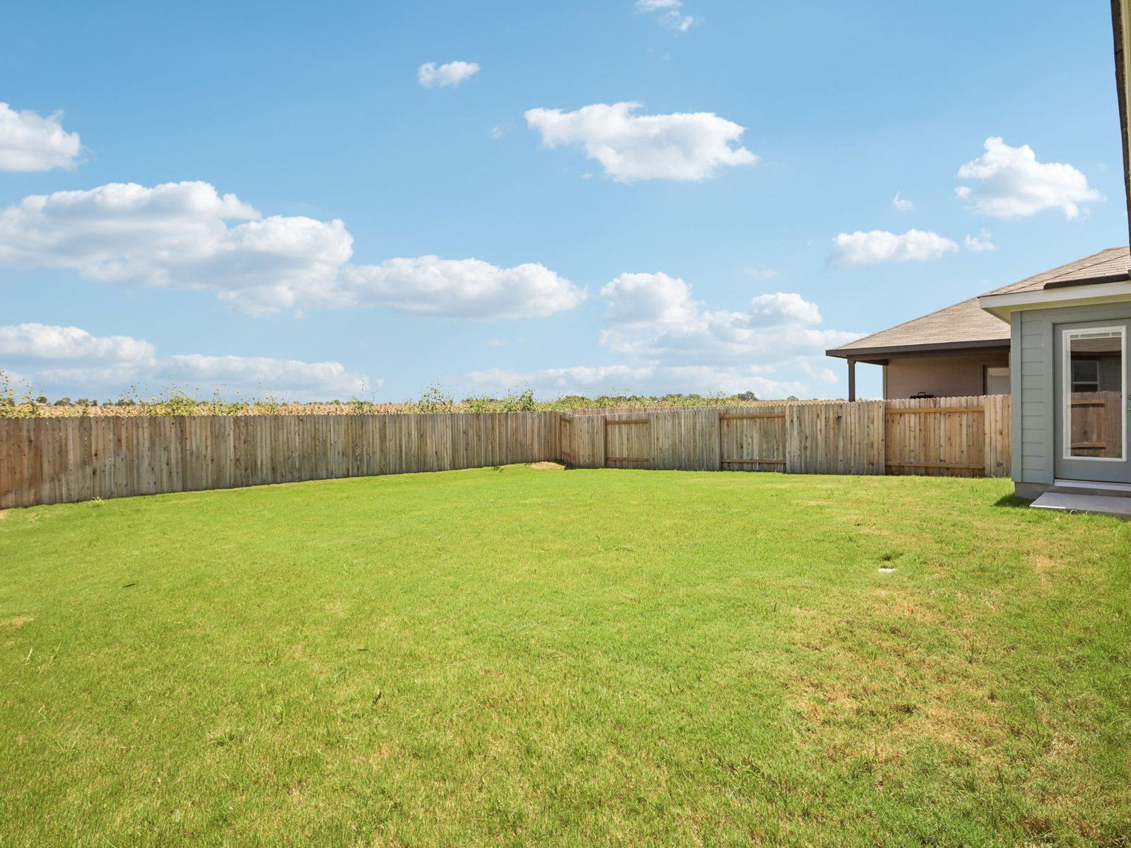 Backyard