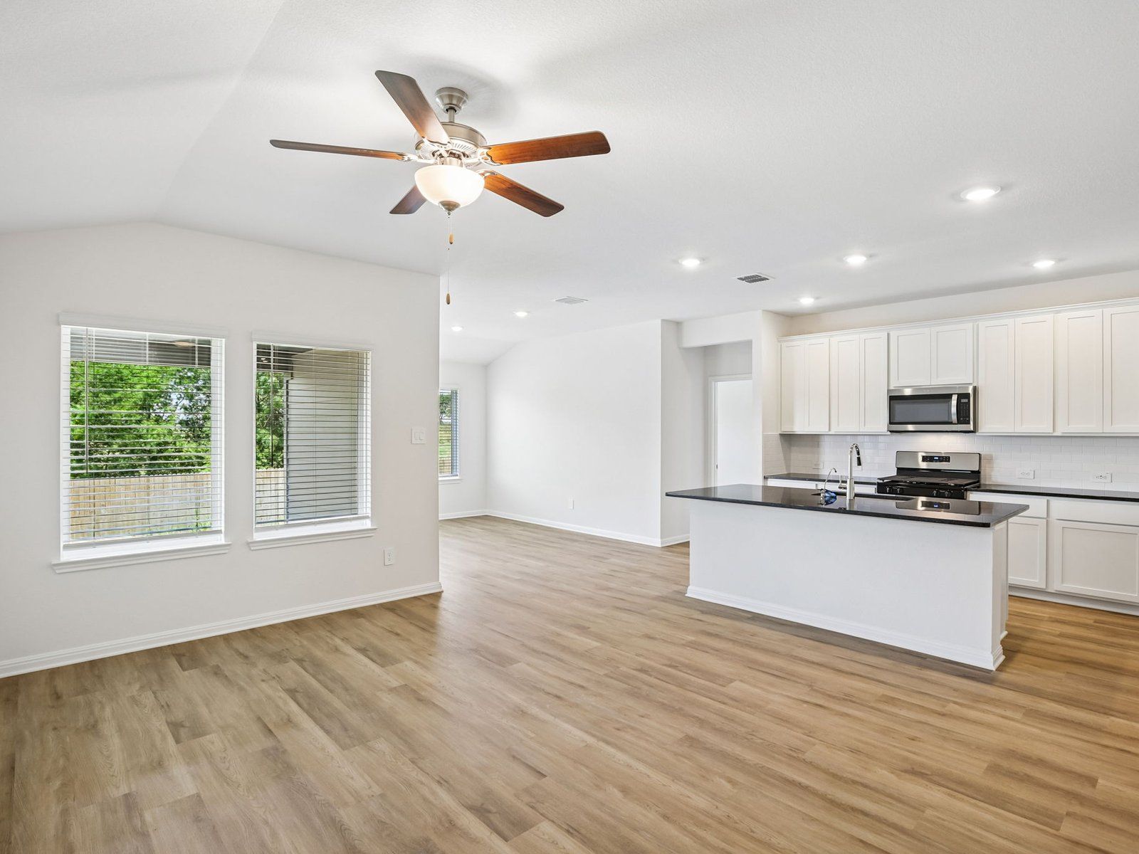 Kitchen, Living, and Dining Areas