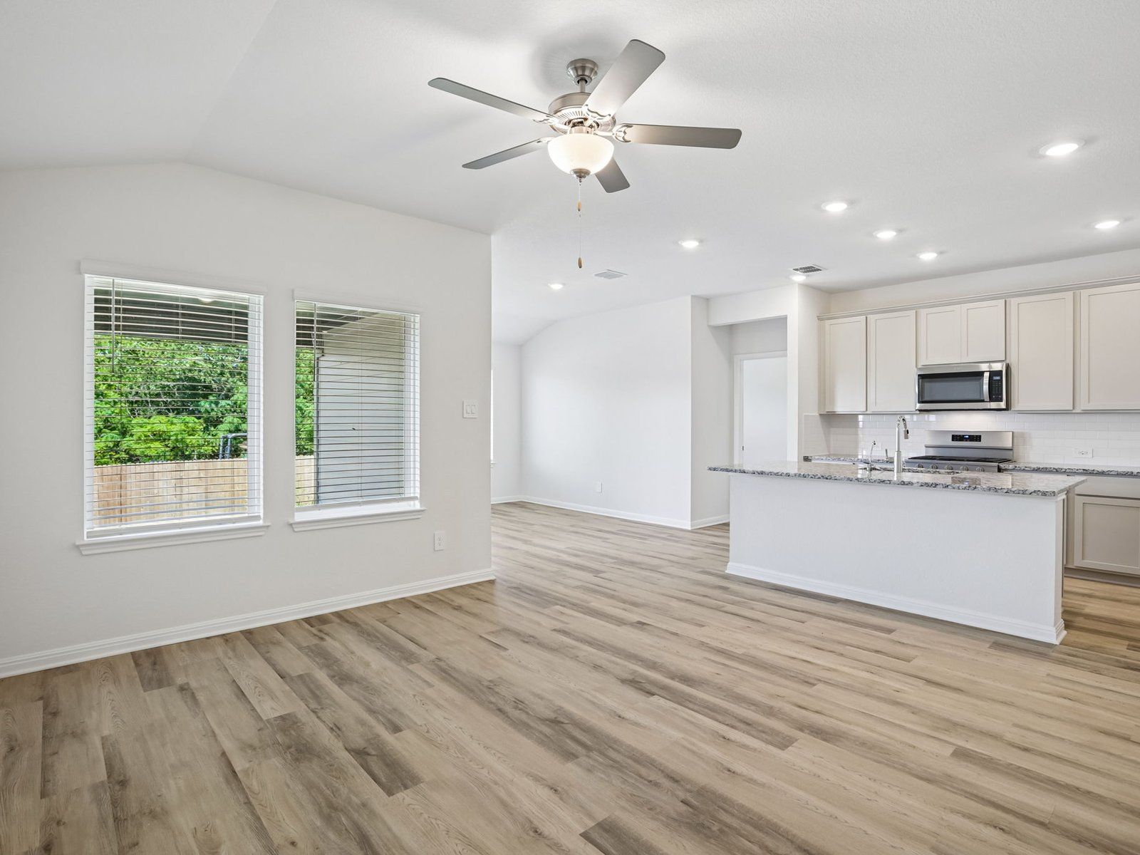 Kitchen, Living, and Dining Areas