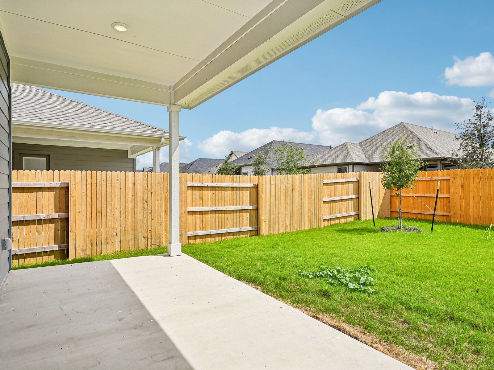 Backyard