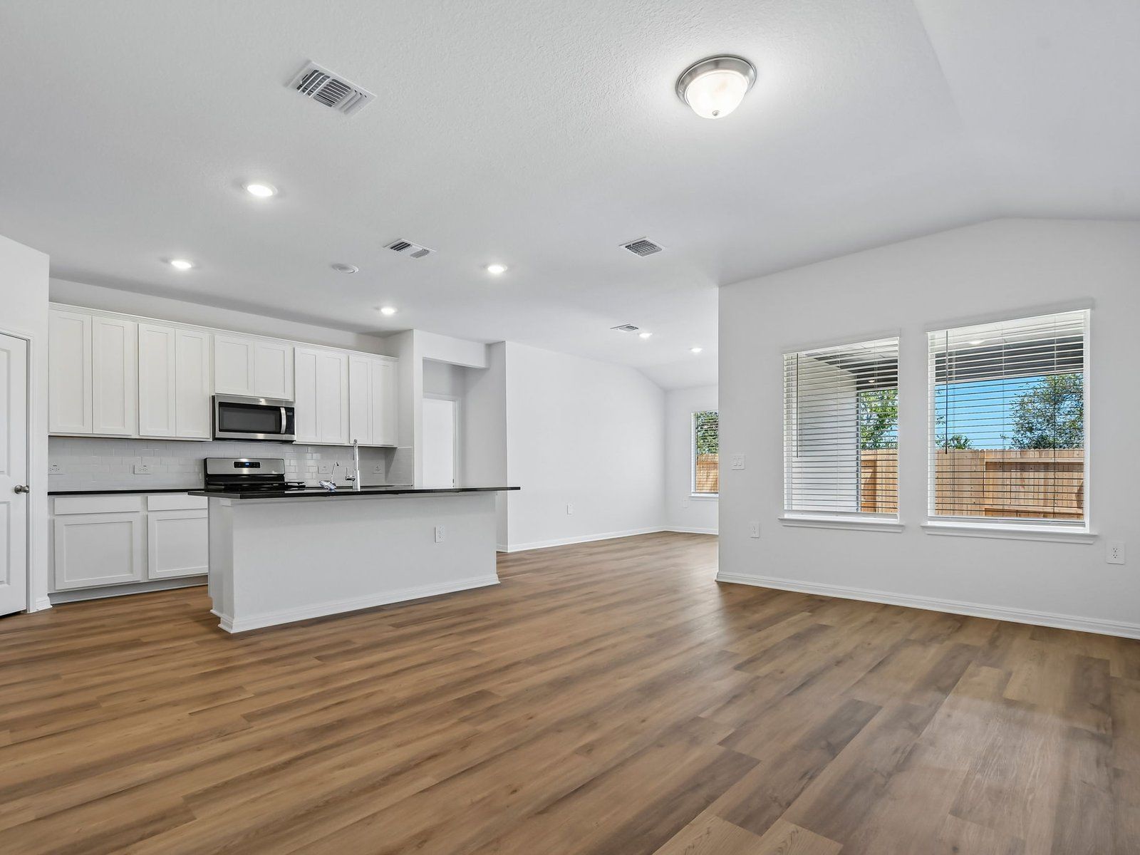 Kitchen, Living, and Dining Areas