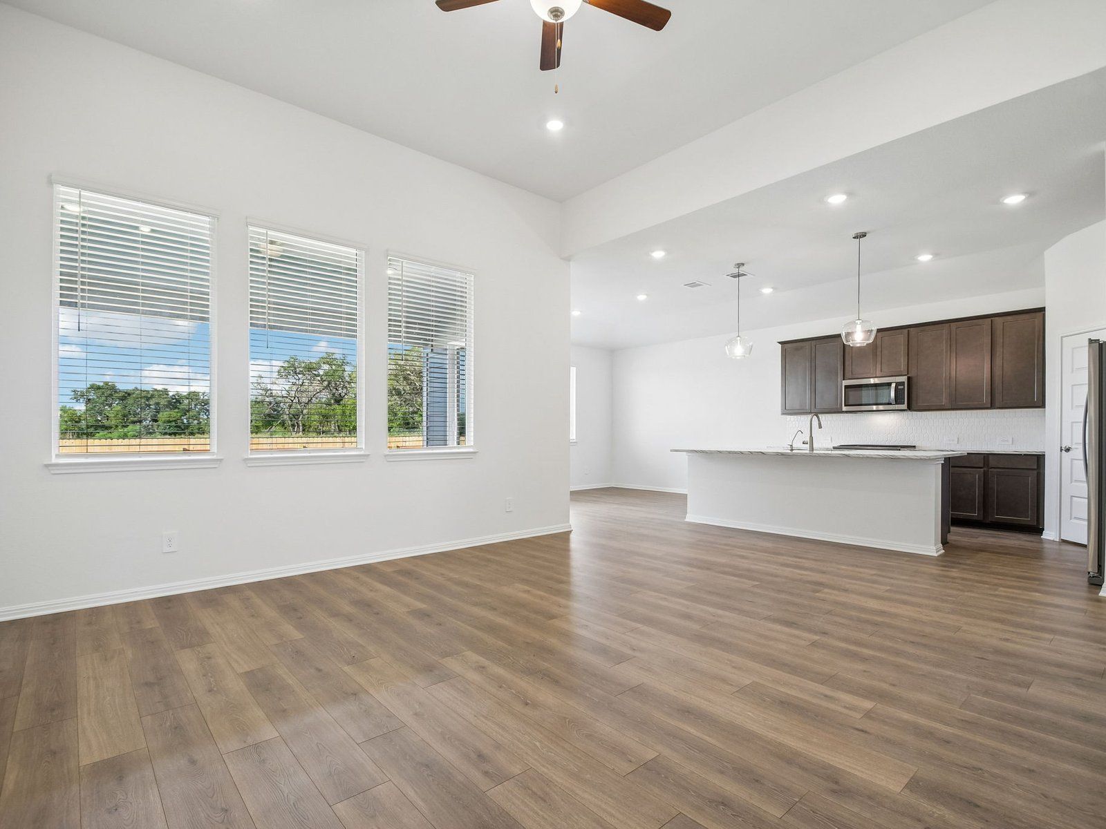 Kitchen, Living, and Dining Areas