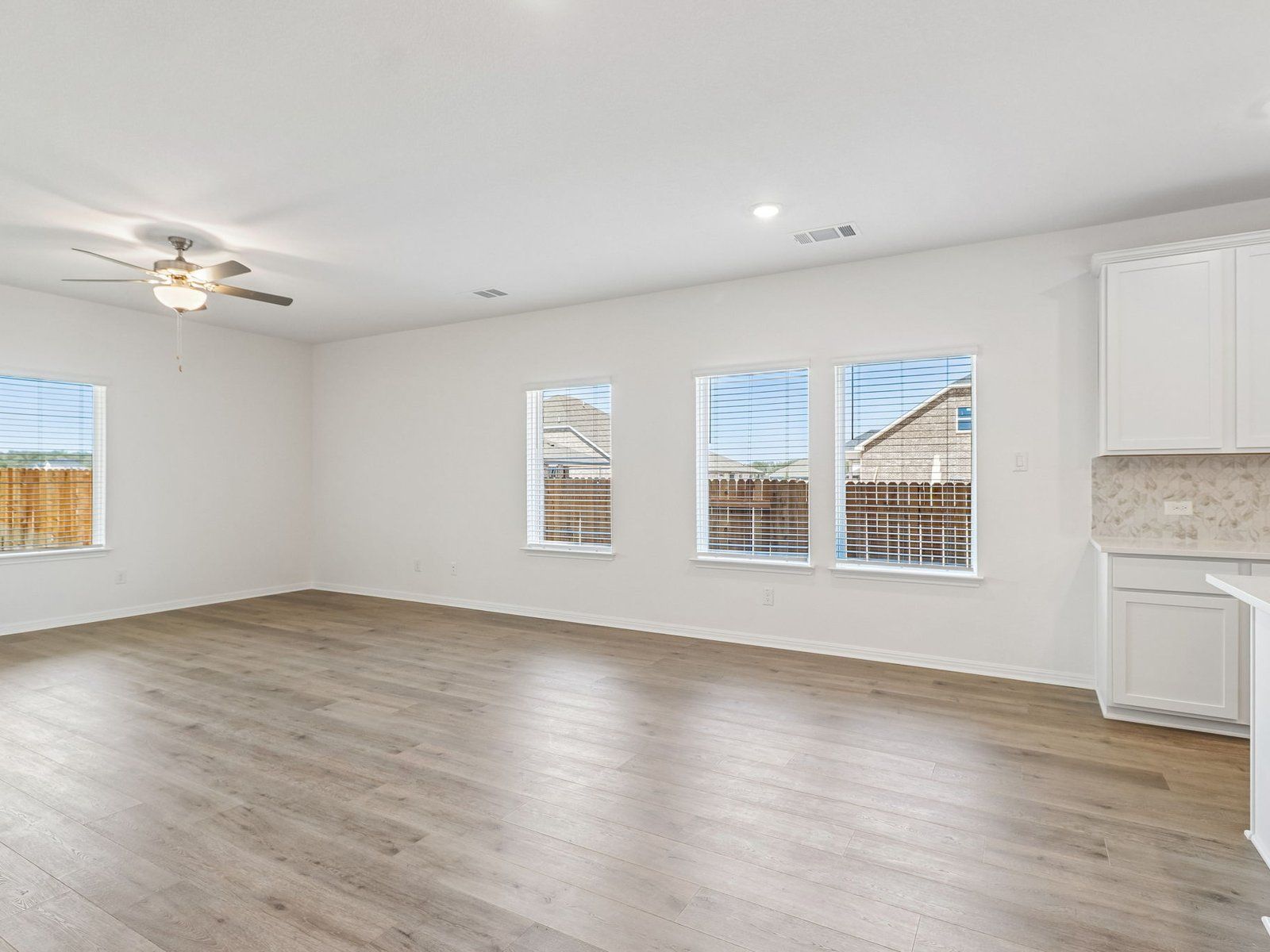 Kitchen, Living, and Dining Areas