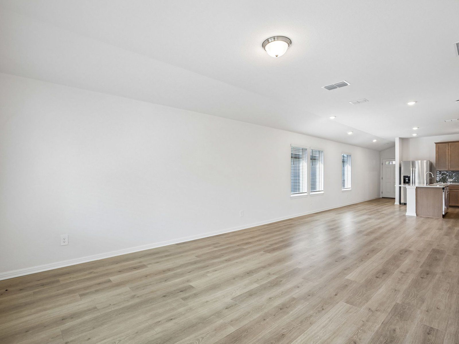Kitchen, Living, and Dining Areas