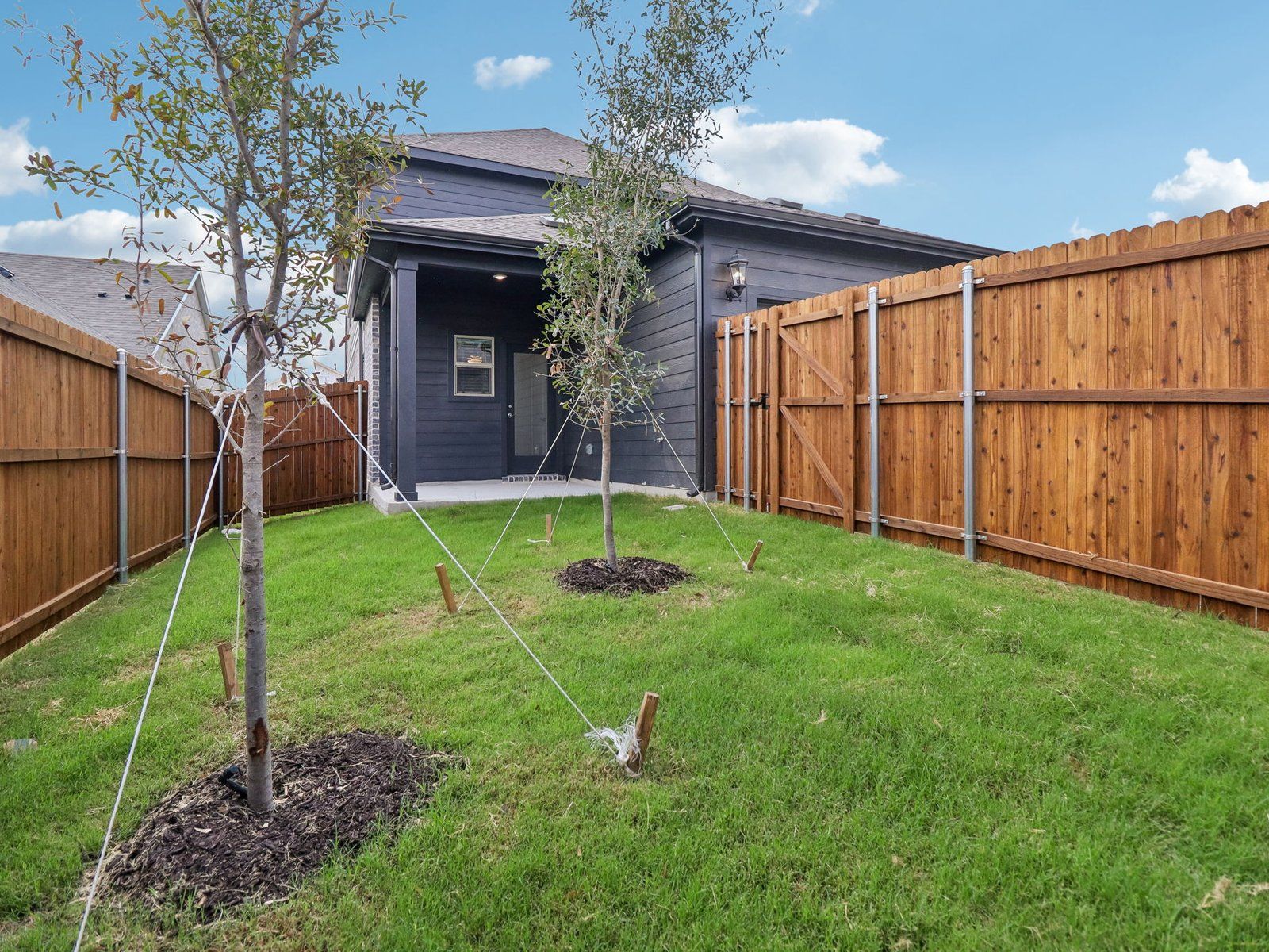 Backyard