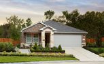 Home in Pine Lake Cove - Premier Series by Meritage Homes