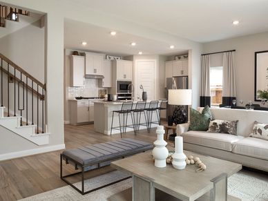 HOU_PineLakeCove_C480_Royal_ModernFarmhouse_LR DR KIT UPST_web