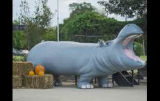 Flora: Hutto, Texas - Meritage Homes