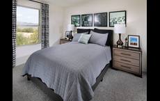 Mandarina - Signature Series: Marana, Arizona - Meritage Homes