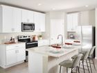 Springs at Lake Alfred - Signature Series - Lake Alfred, FL