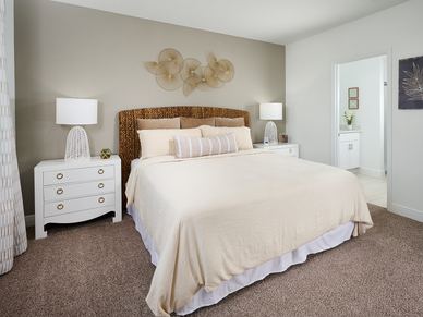ORL_LT_Olympic_Bed1_01.jpg
